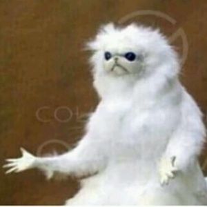 Meet your Posher, Eli